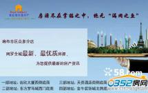 ҐҼ҈@ꖹGu8295.6O31fQֺb