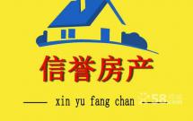 ЌW^ݾ@ 77O 12 23.5fQ