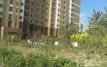 @С^,ЌWW^,ݵ̓r! 21d1l 67Ot J